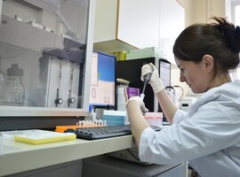 Ученые разработали программу, которая высчитывает свойства молекул